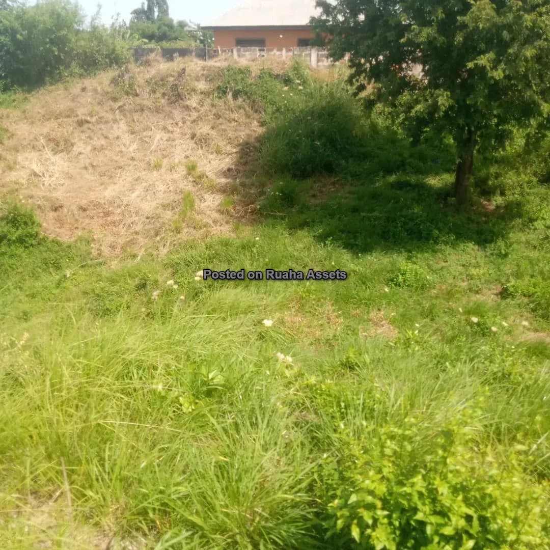A plot for Sale at Kimara Korogwe