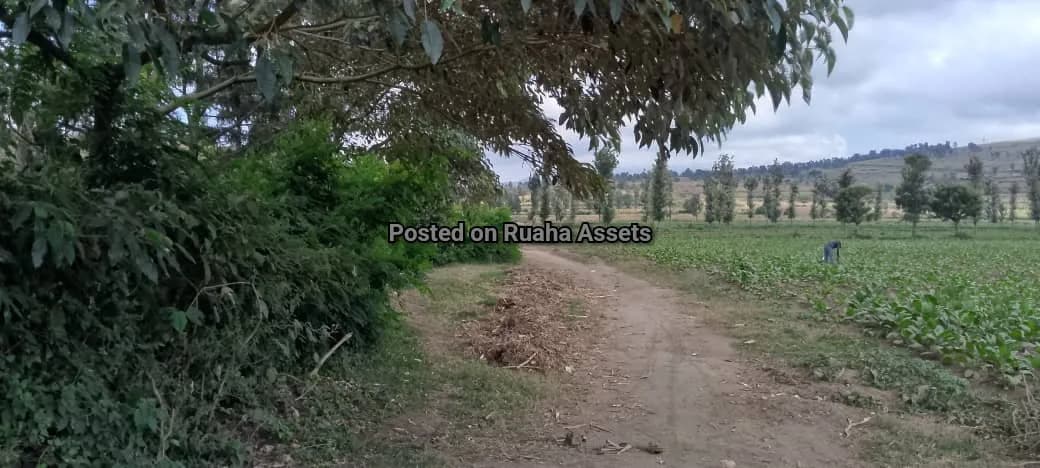 8 Acre Plot for Sale at Ngaramtoni 