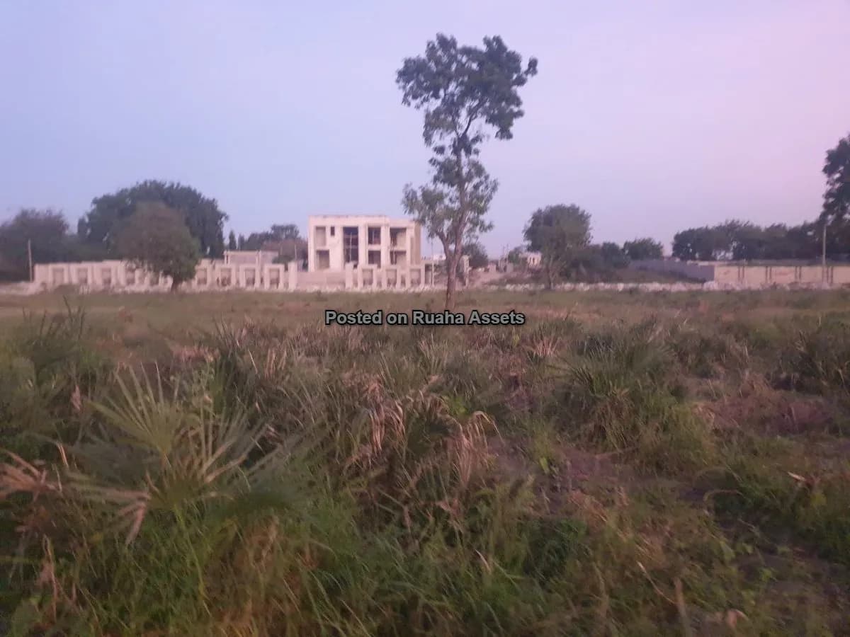 A Very Big Plot for Sale