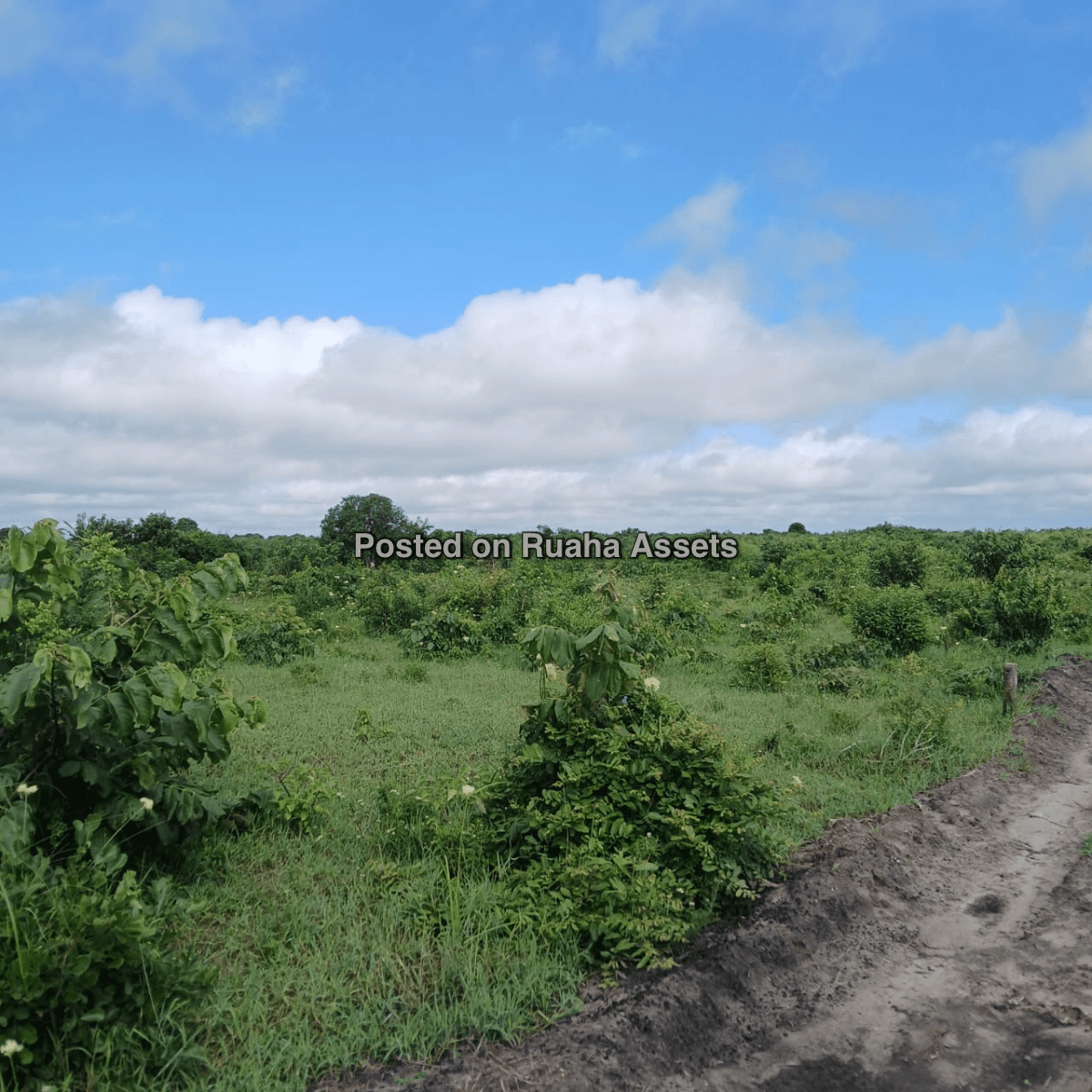 Industrial plots for sale in Kibaha, Misugusugu.