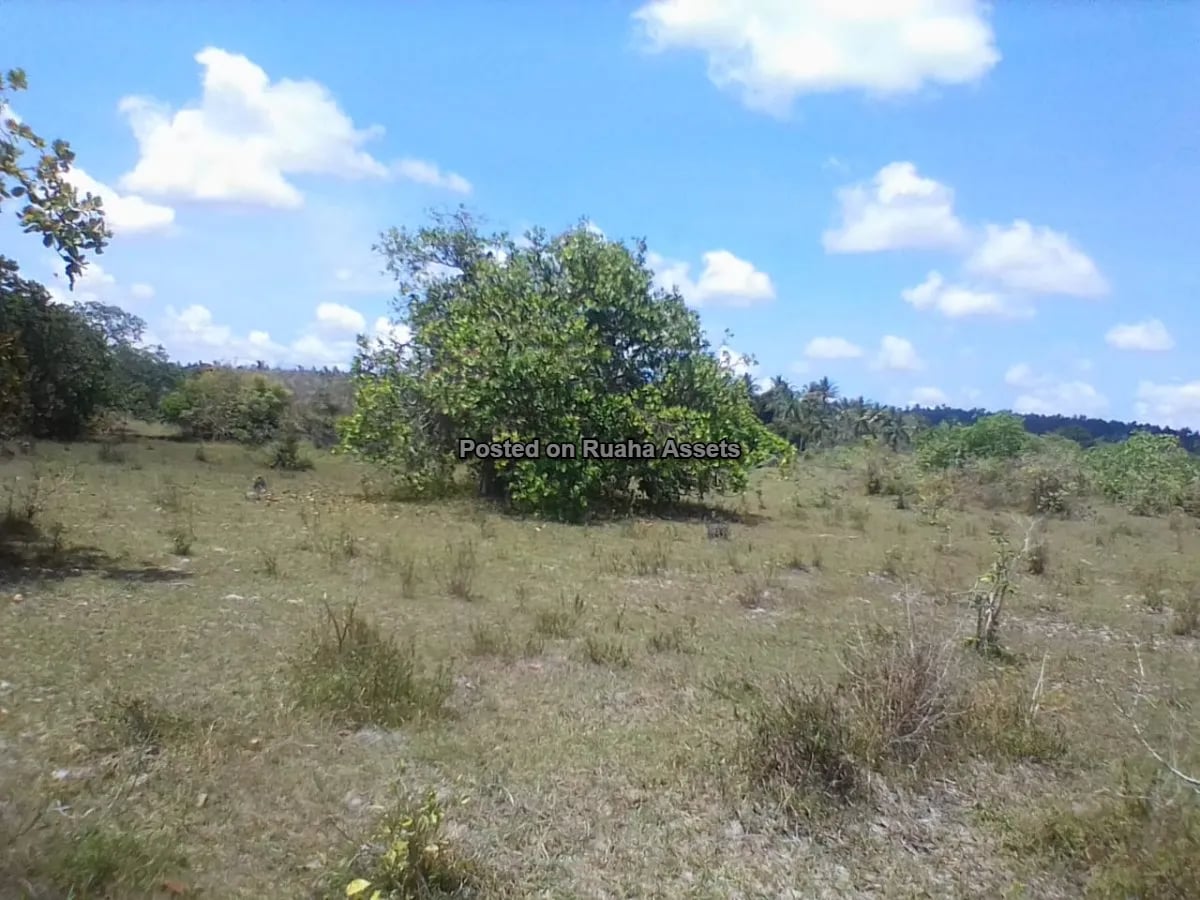 PLOT FOR  SALE AT MKURANGA image 5