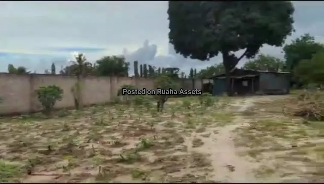 Commercial Plot for Sale Tabata Segerea image 6