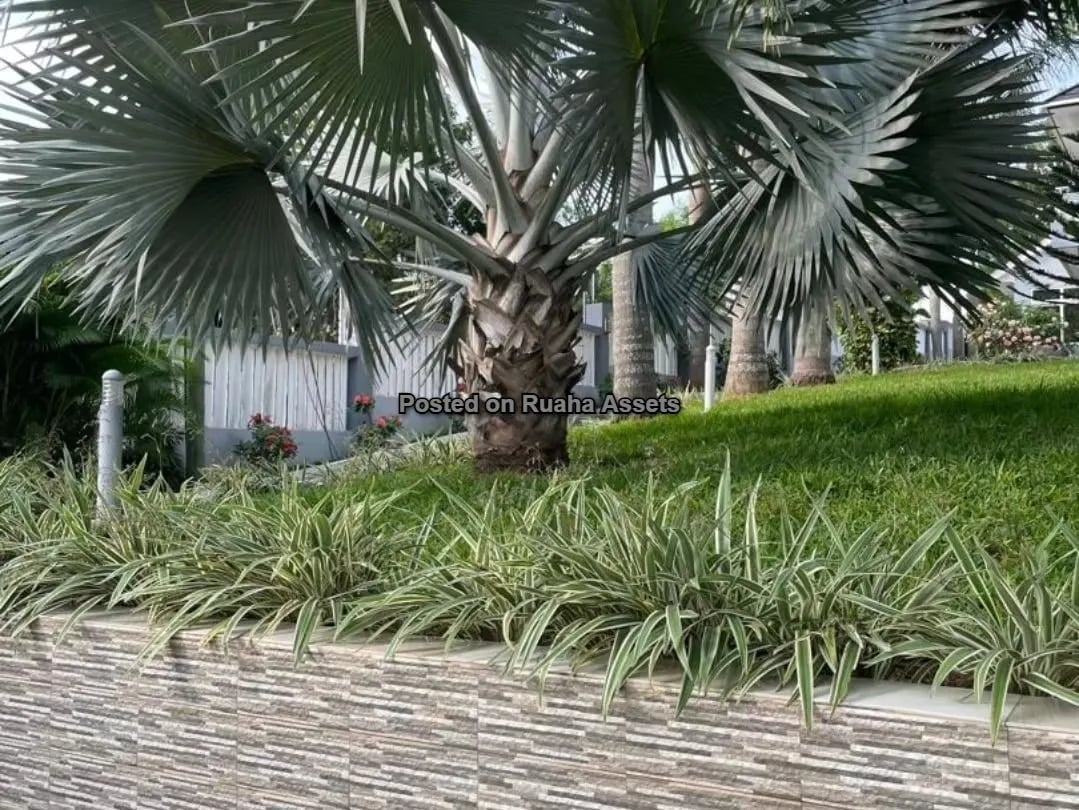 Villa for sale at Kimara Korogwe image 7