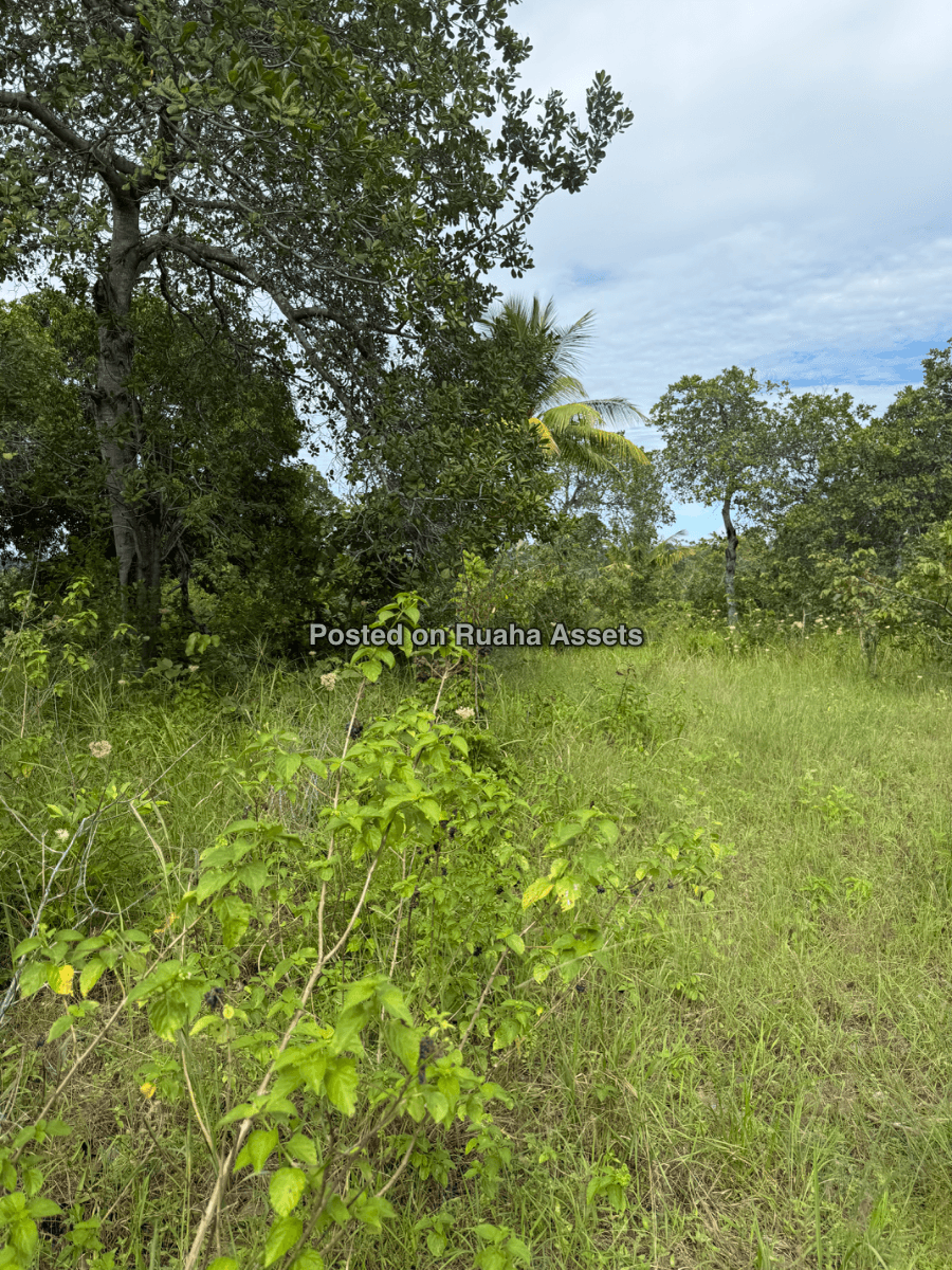 A 10 acre plot for sale at Mkuranga image 7
