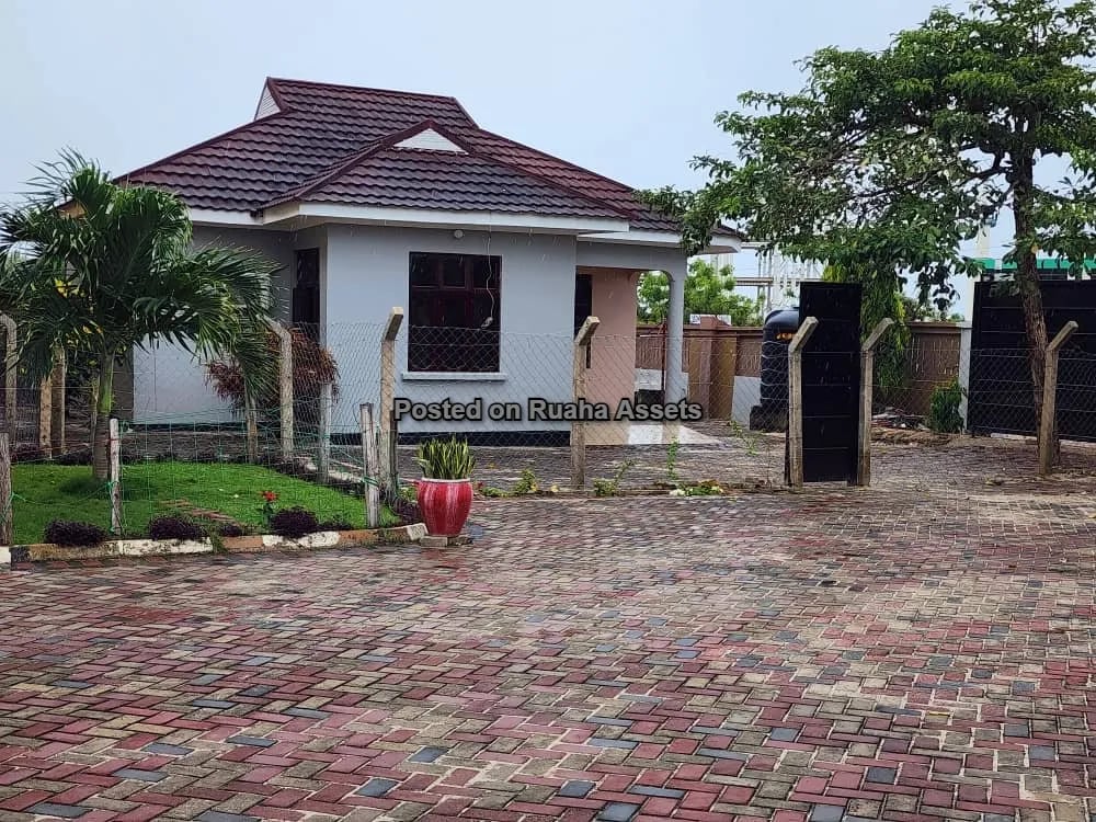 Brand New Apartment to lease at Ununio image 3