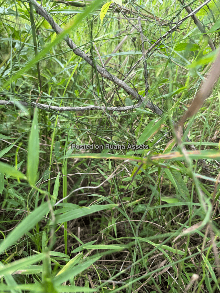 A 10 acre plot for sale at Mkuranga image 8