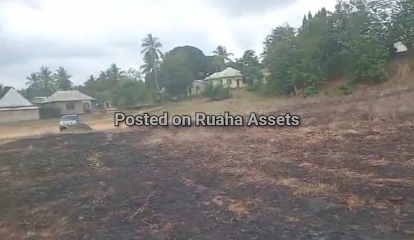 commercial plot Morogoro Road mlandizi  image 2