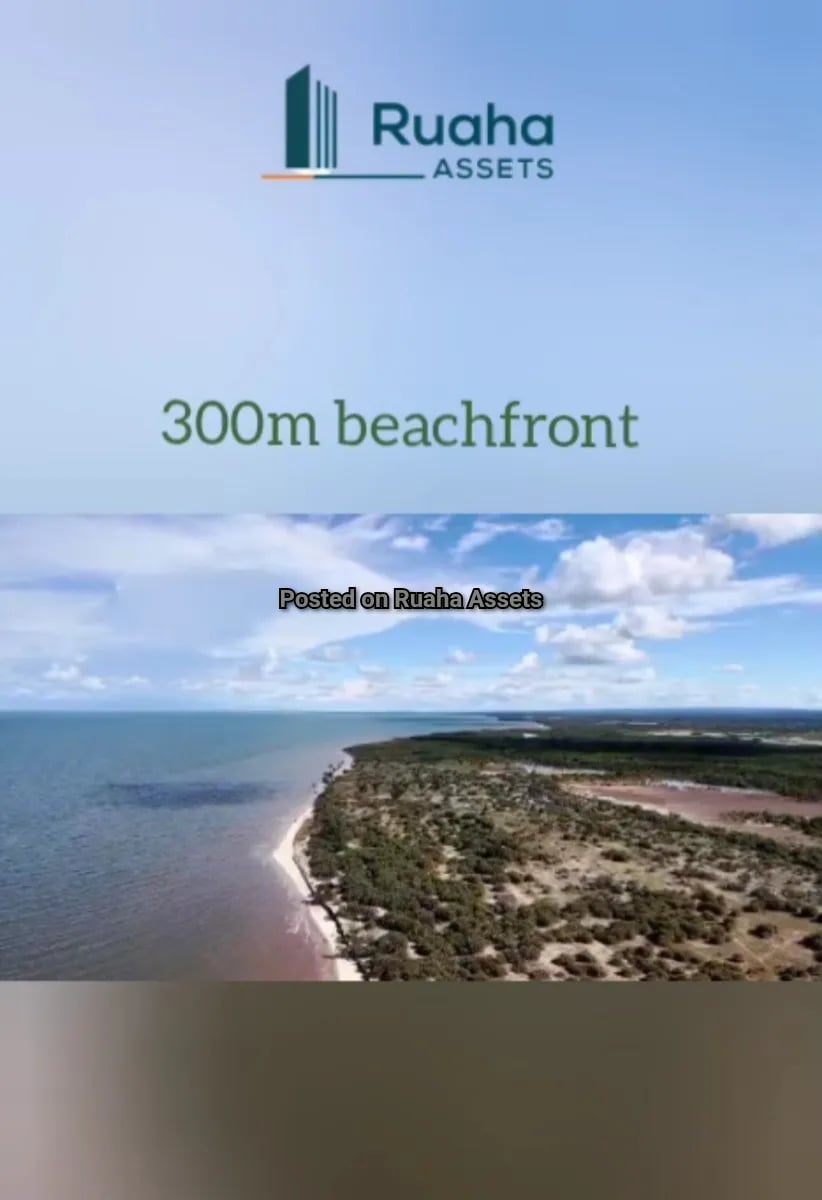 Prime Beachplot for Sale at Saadani image 2