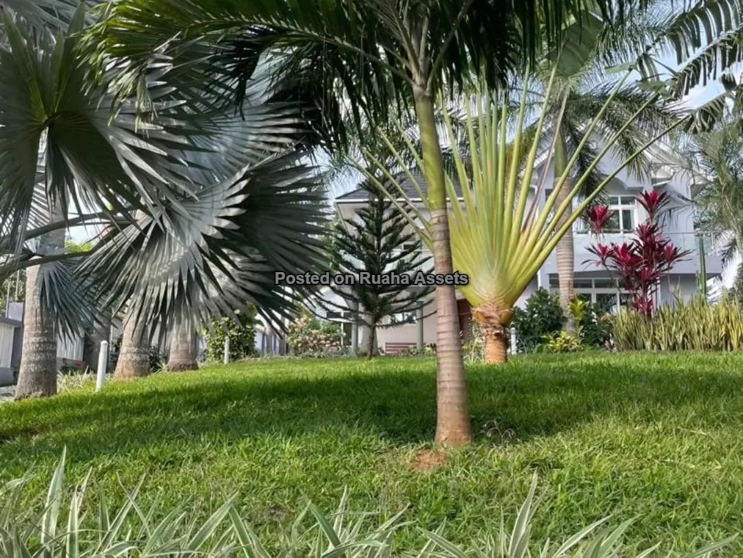 Villa for sale at Kimara Korogwe image 9