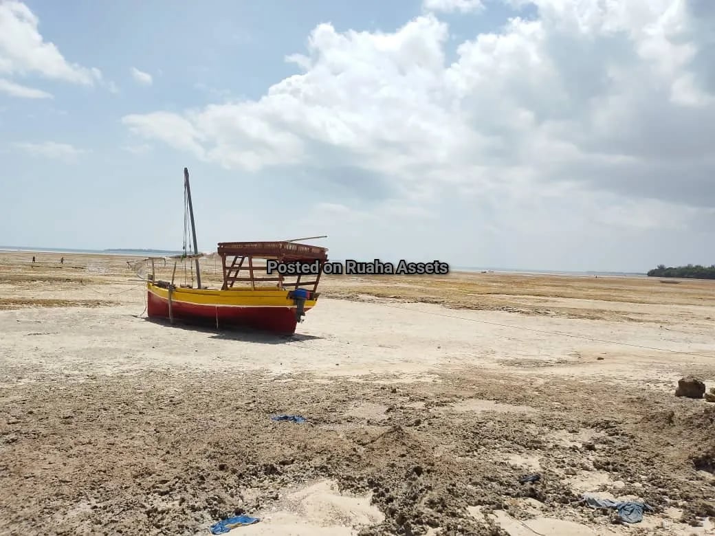 Beachfront plot for Sell in Zanzibar image 2