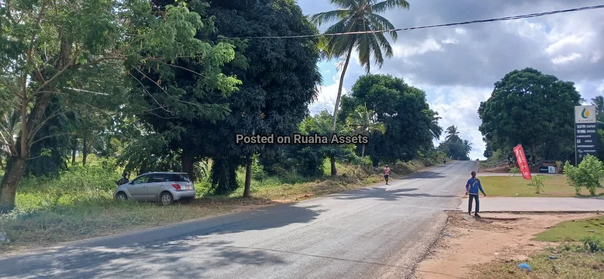 Petrol Station Plot for Sale at Mvuti image 6