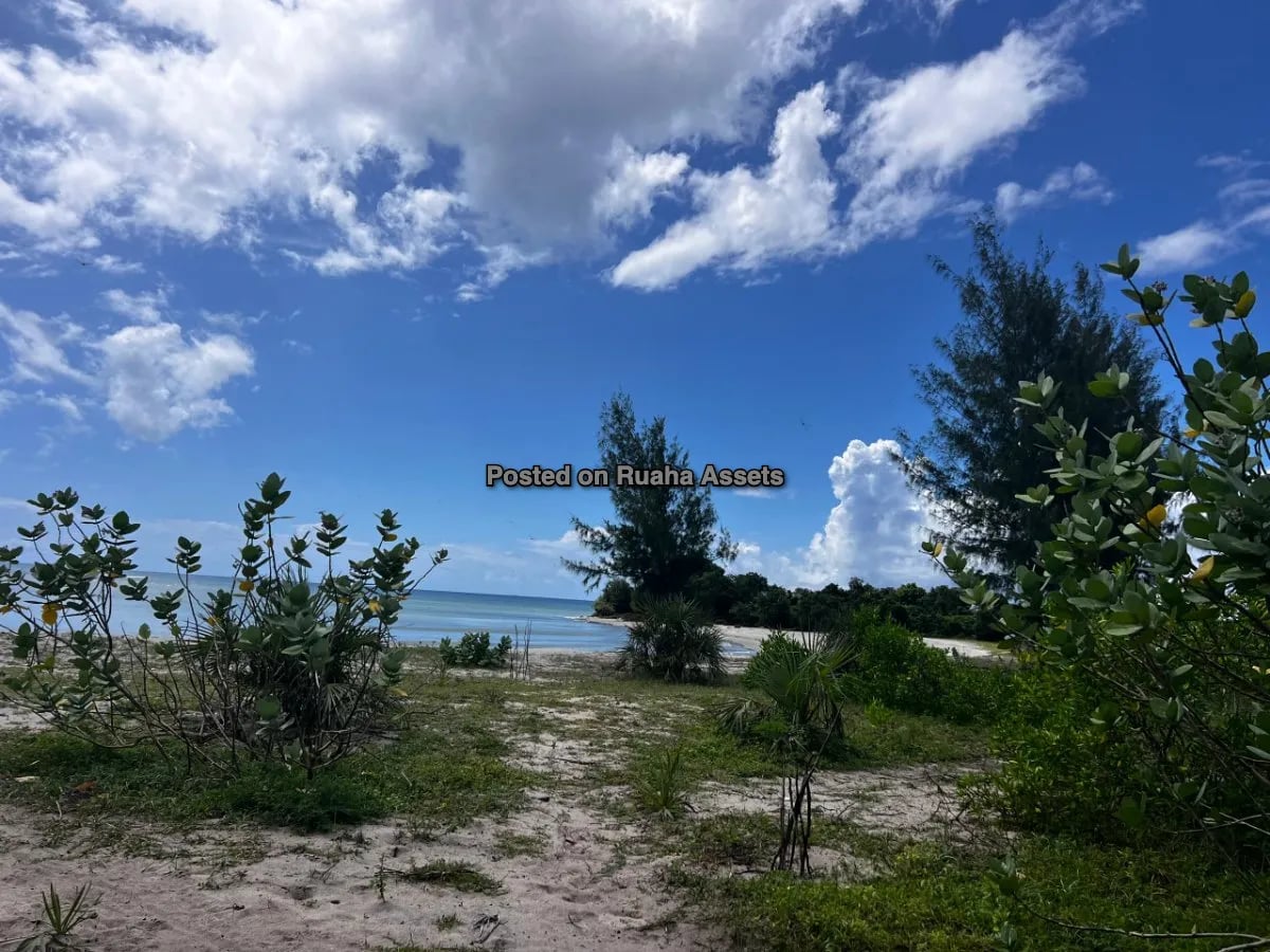 Prime Beachfront Commercial  Plot for Sale - Mjimwema Gezaulole, Kigamboni, Dar es Salaam image 10