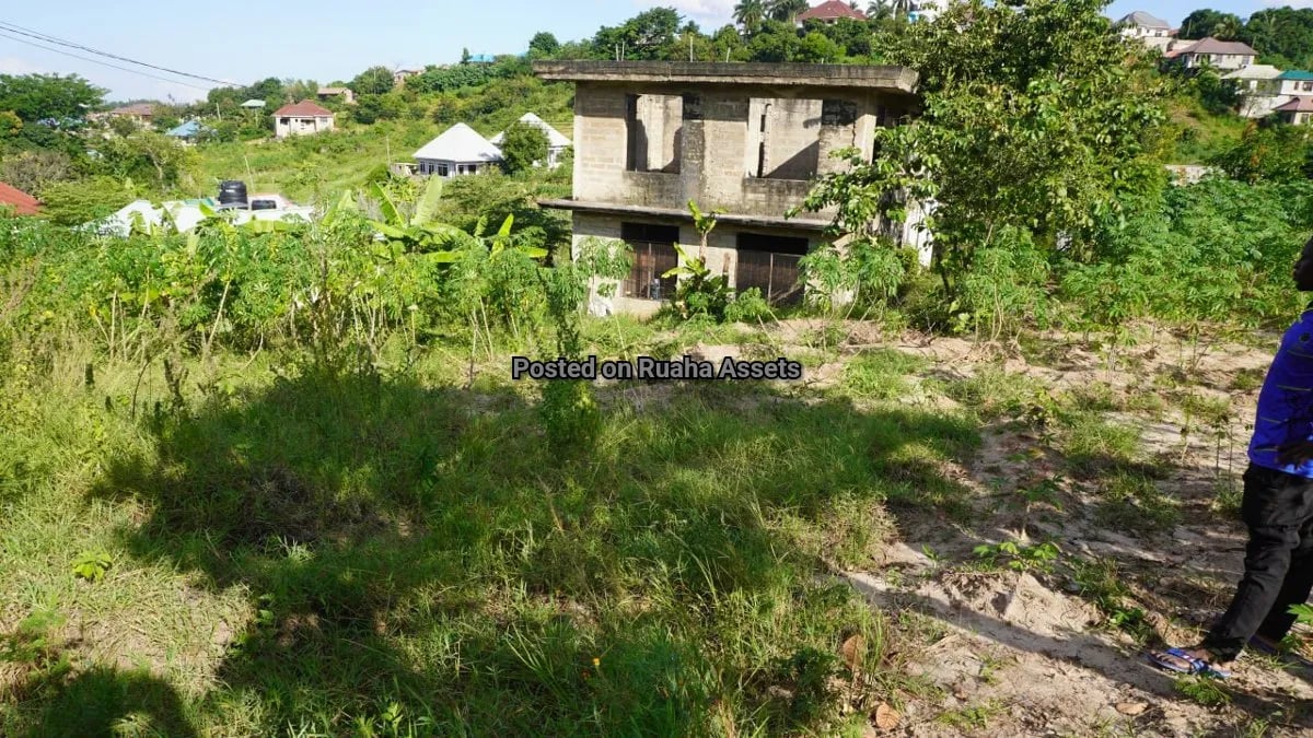 Unfinished flat for sale at Mkuwa  image 1
