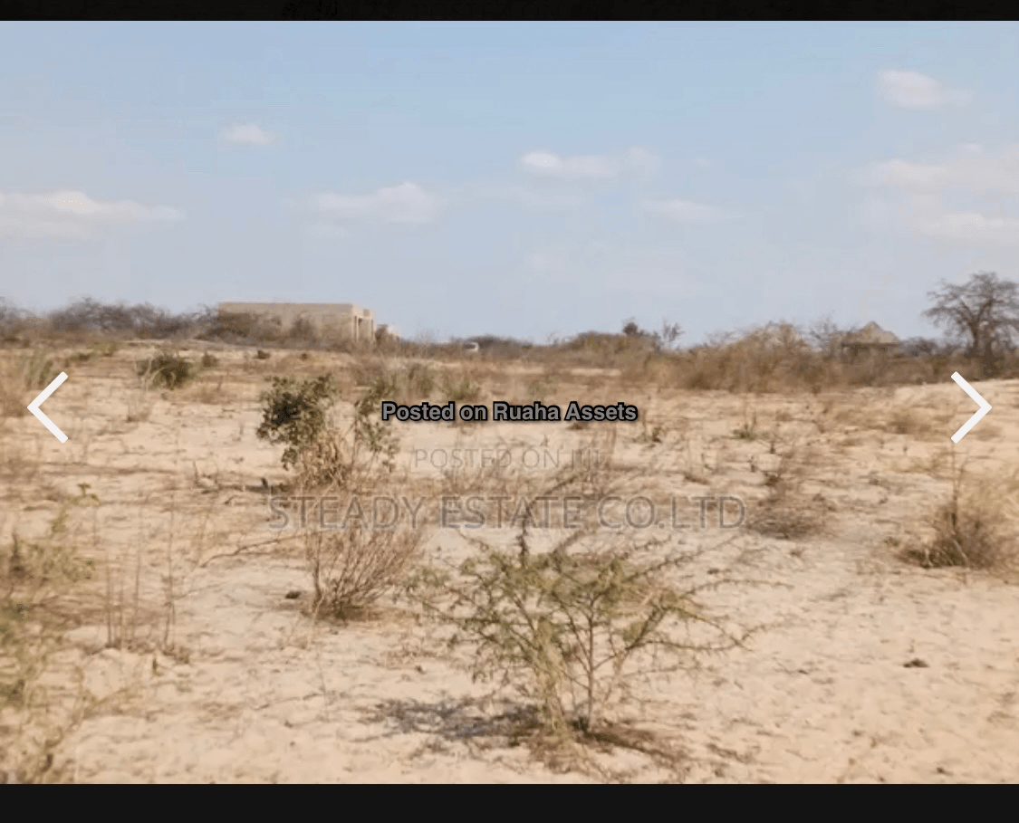 Plot for sale at Dodoma Rural image 2