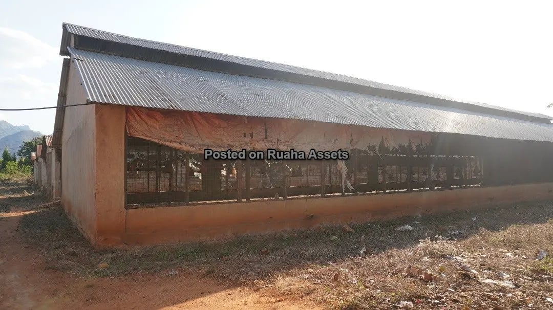 Shamba Kubwa Lenye Majengo ya Ufugaji Linauzwa image 7