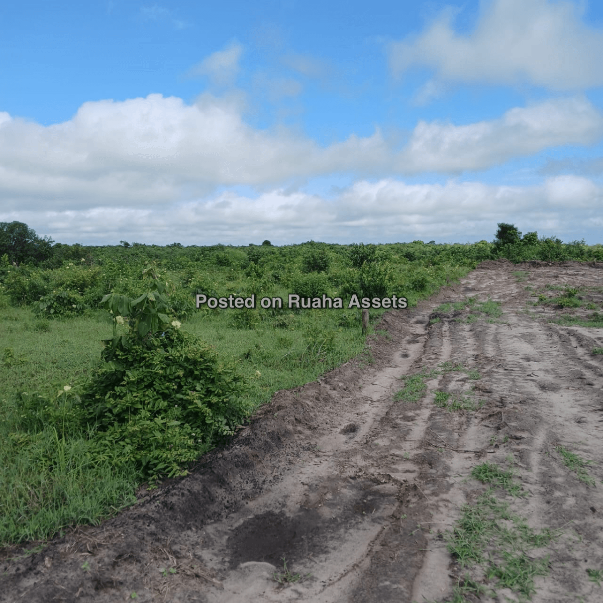 Industrial plots for sale in Kibaha, Misugusugu. image 3