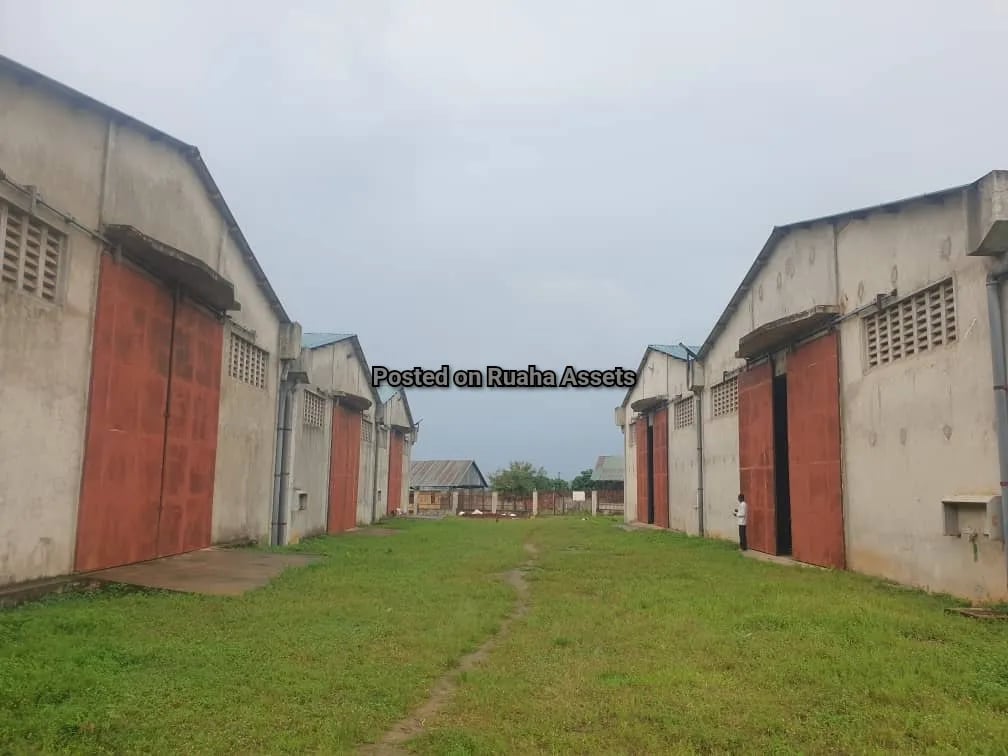 Warehouses for lease at Bagamoyo Road  image 1