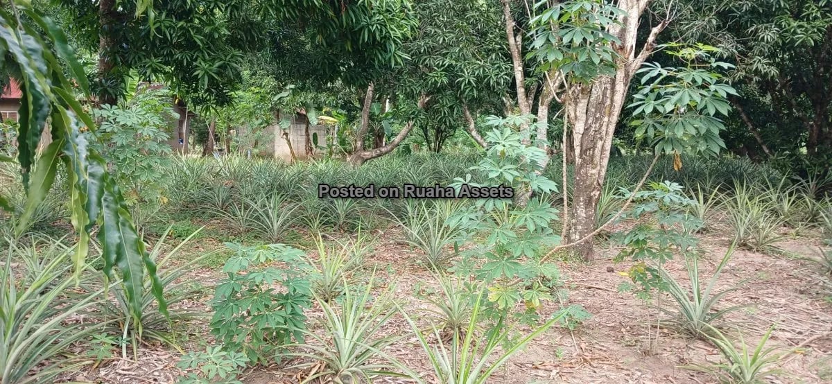 7 Acres of Mixed plots for Sale at Mvuti, Dar es Salaam image 9