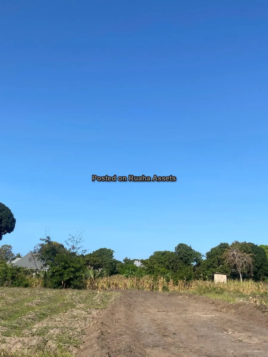 Surveyed Plot at Kigamboni Mbutu Kichangani image 3