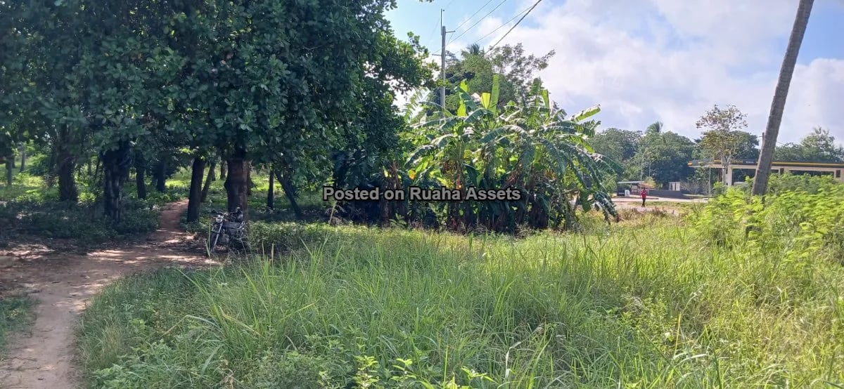 7 Acres of Mixed plots for Sale at Mvuti, Dar es Salaam image 16