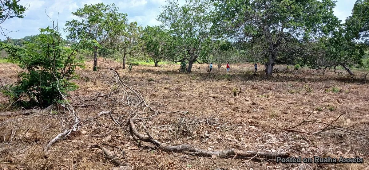Land for sale at Kibaha - Boko Mnemela. image 6