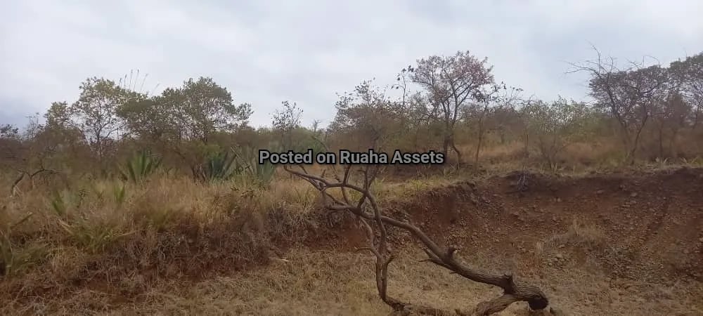 Big Plot with a House for Sale Njiro Arusha image 20