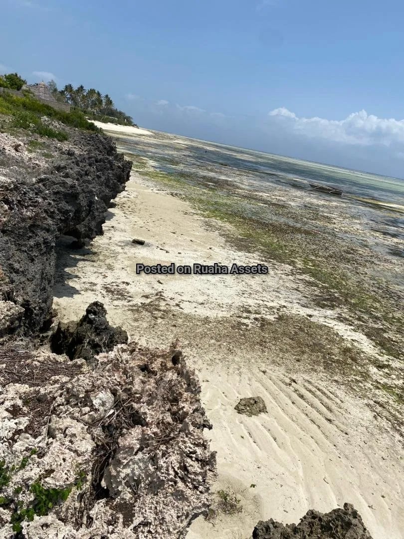 Beach Front plot for sale in Zanzibar image 4