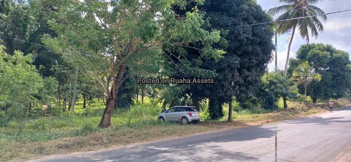 Petrol Station Plot for Sale at Mvuti image 2