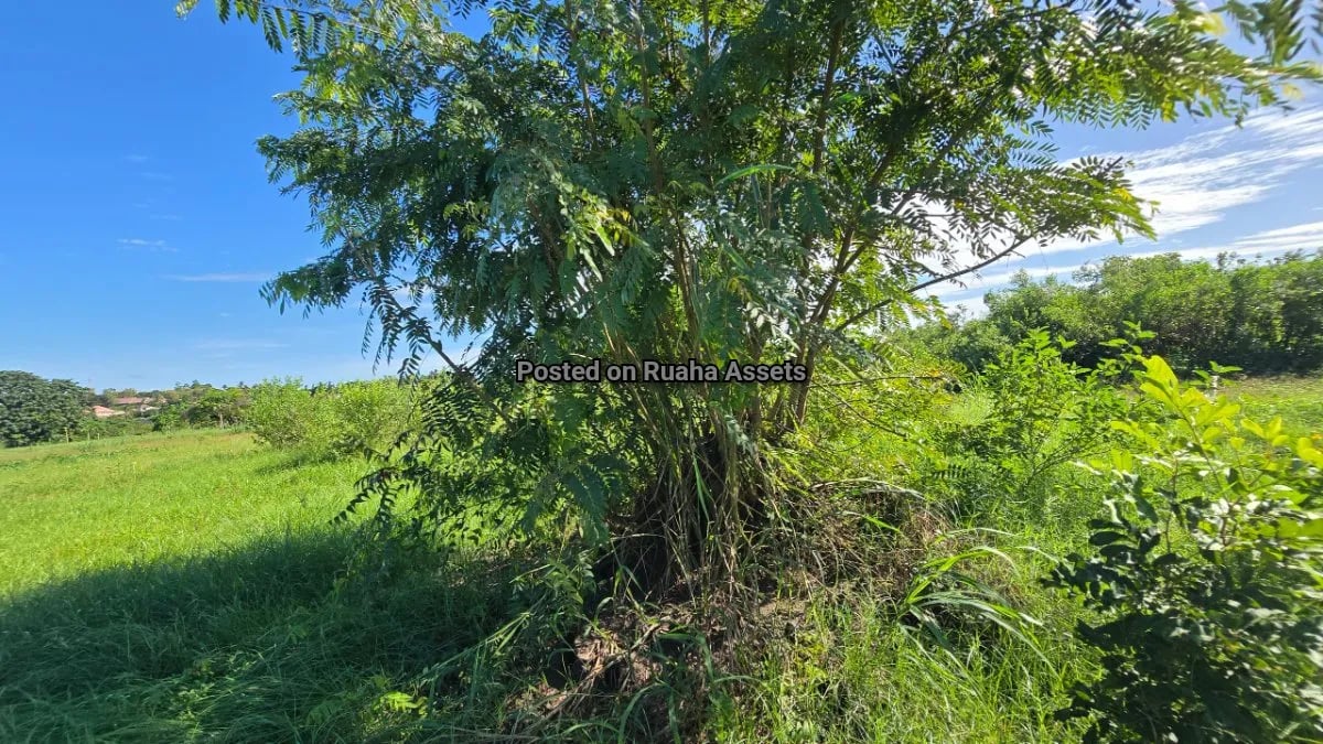 Plot for Sale at Chamazi  image 8