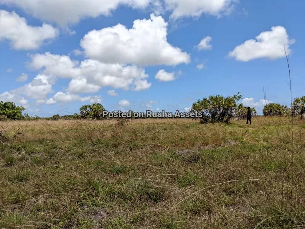 Surveyed Plot for Sale at Kimbiji Kigamboni image 1