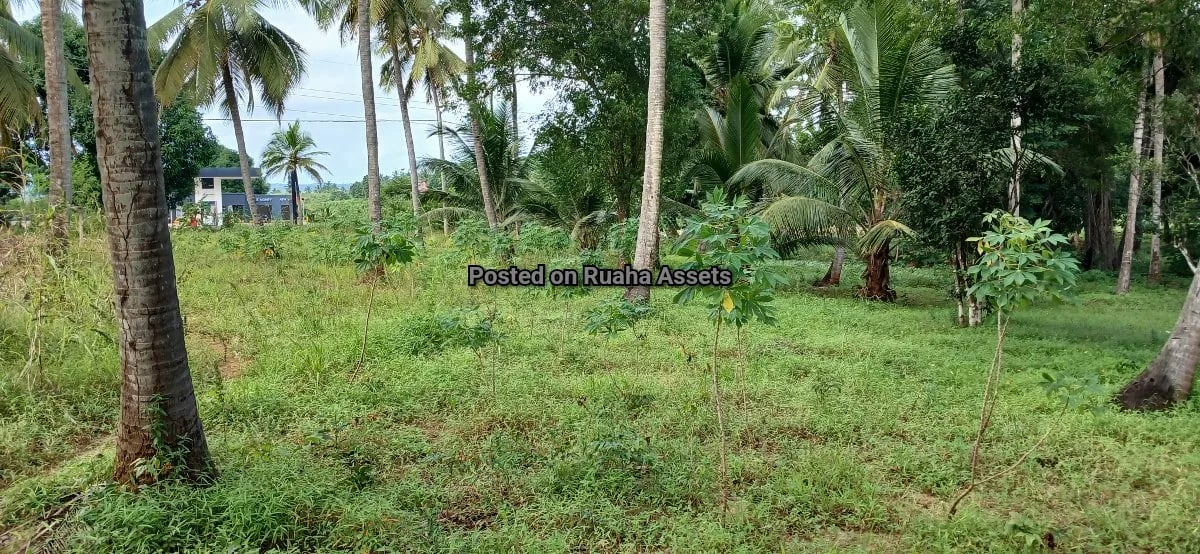 Petrol Station Plot for Sale at Mvuti image 1