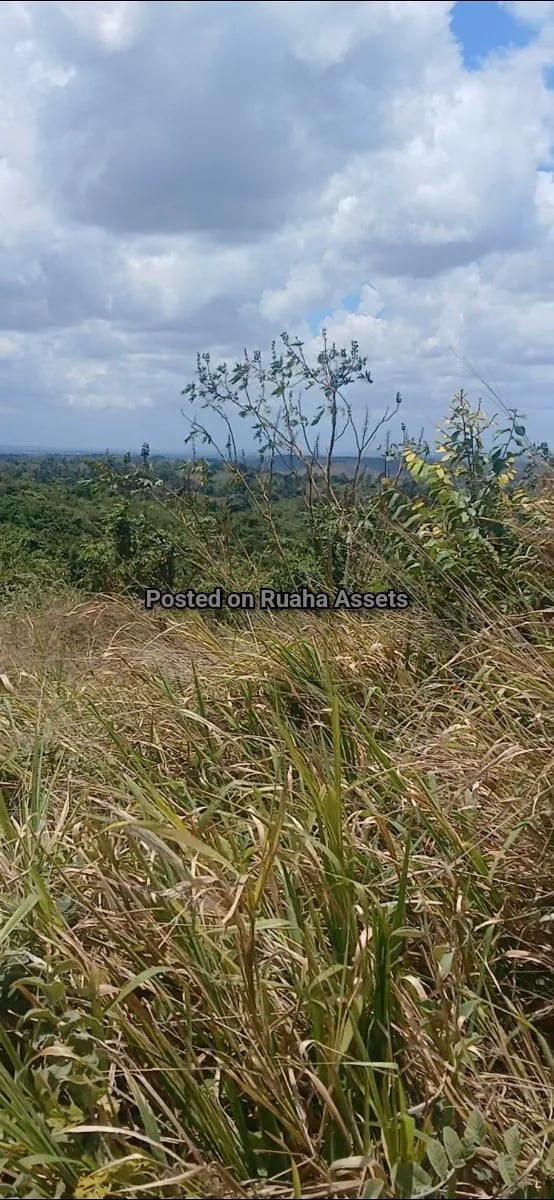 Huge Industrial Plot for sale at Kisarawe image 2