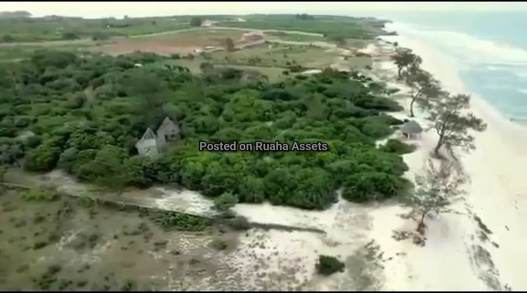 Kigamboni Beach Plot for Sale image 4