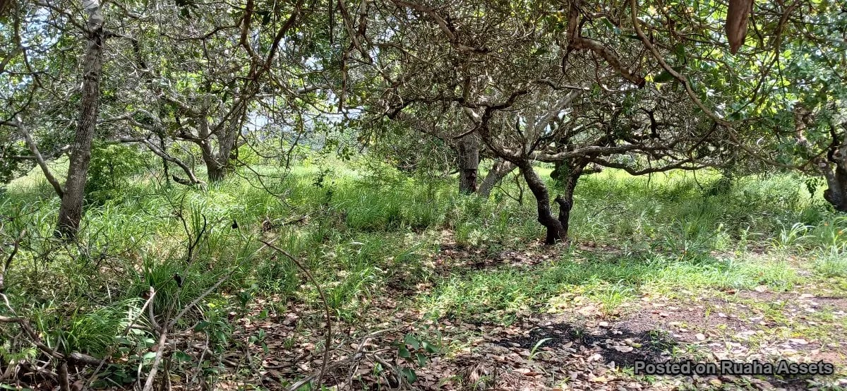 Land for sale at Kibaha - Boko Mnemela. image 3