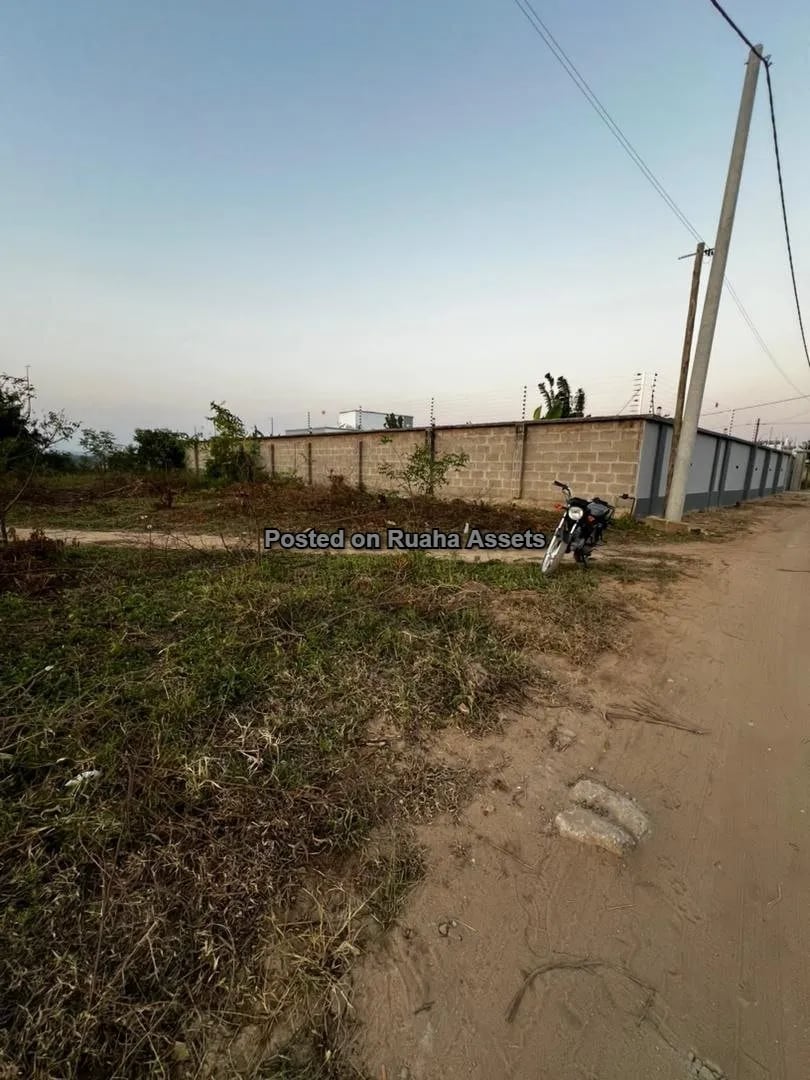 Ocean View Plot for Sale image 5