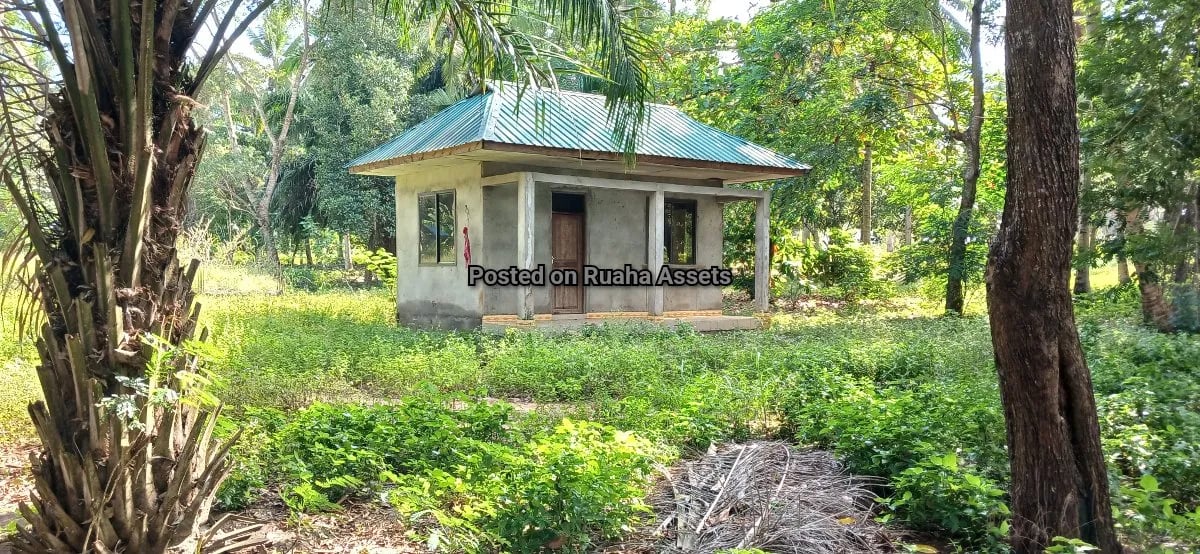 Petrol Station Plot for Sale at Mvuti image 4