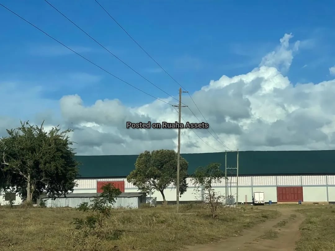 New Warehouse for sale at Mapinga image 10