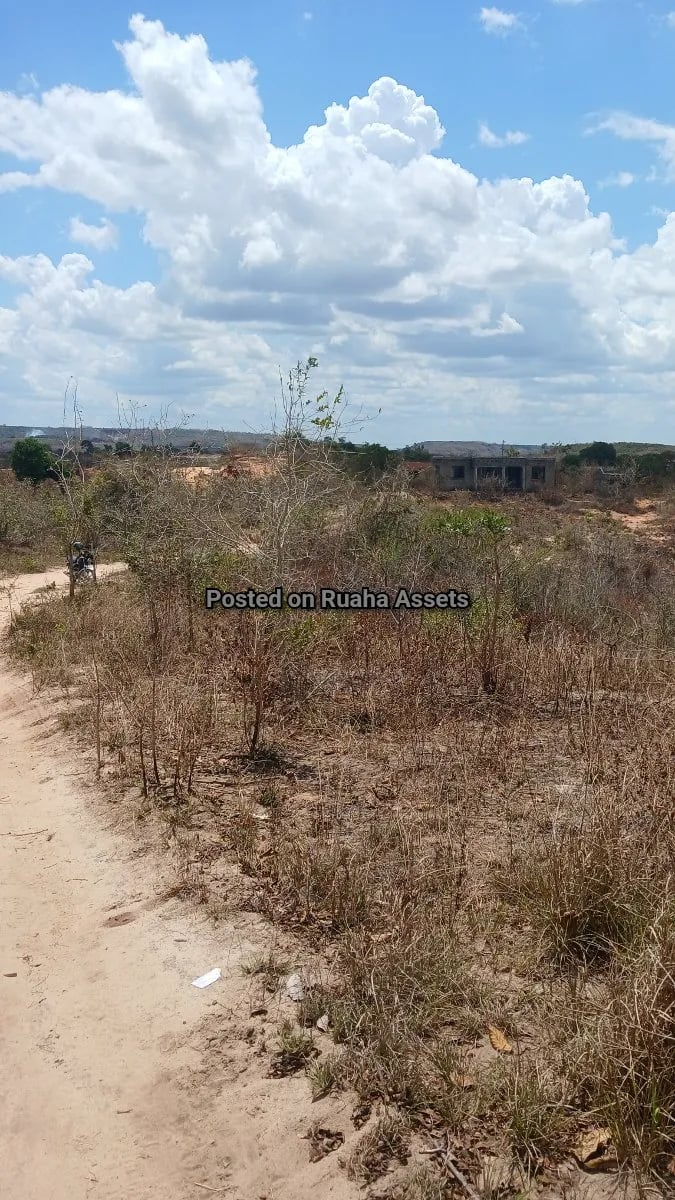 Big Industrial Plot for Sale at Kisarawe image 2