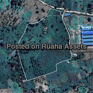 Prime Land For Sale 16.87 ACRES image 2