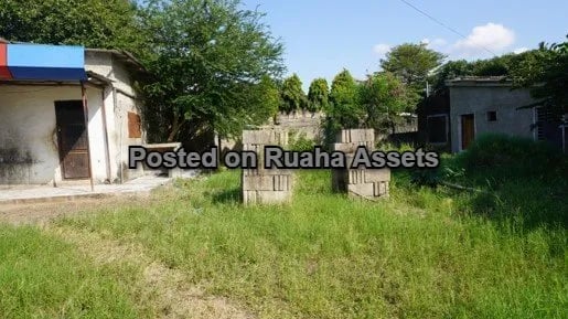 Art Gallery For Sale image 2