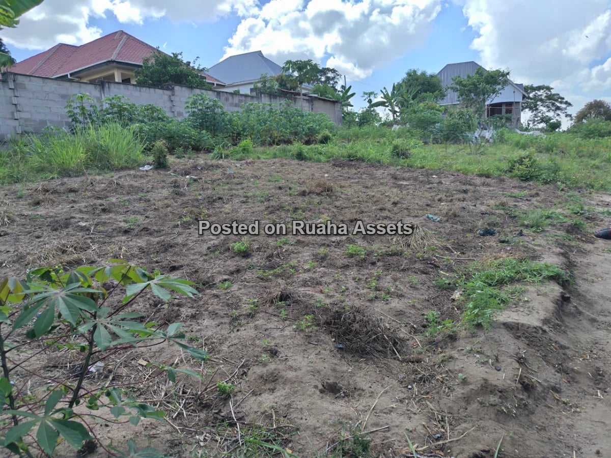 A 600sqm PLOT FOR SALE AT MBEZI MSAKUZI image 4
