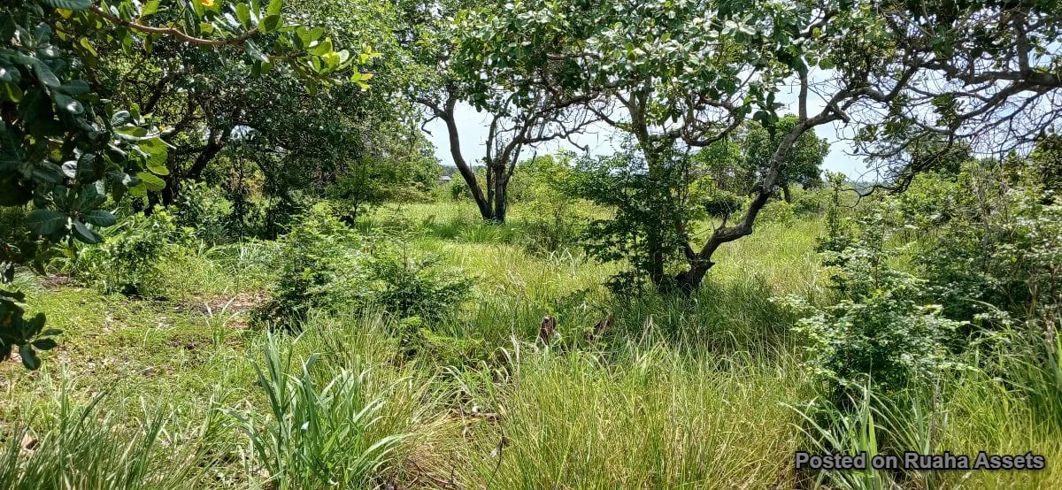 Land for sale at Kibaha - Boko Mnemela. image 2