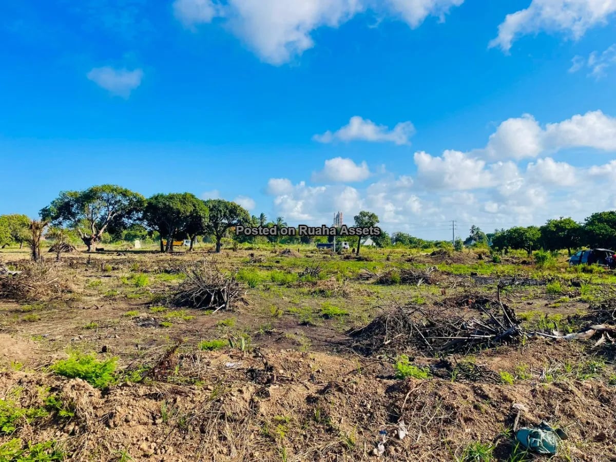 Surveyed Beach Plots for Sale at Kigamboni Kimbiji ( Survey No: DSMI0019642, Registered Plan No: DSMS0027649) image 4