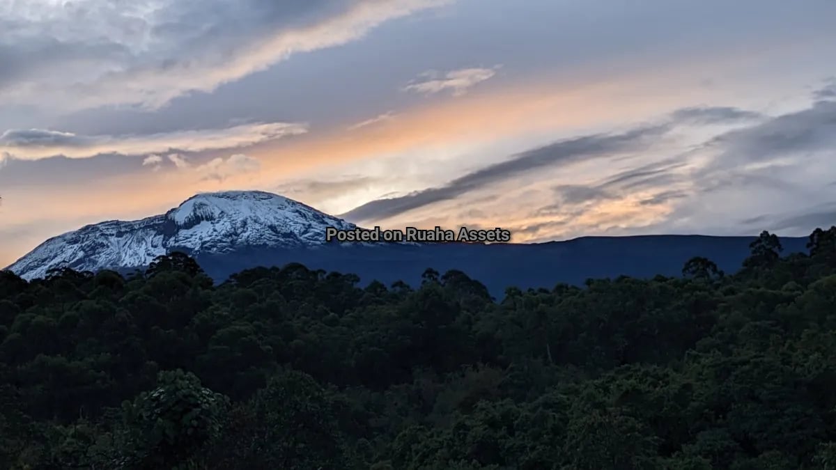 4 acres on the foot of Mt. Kilimanjaro for Sale image 2