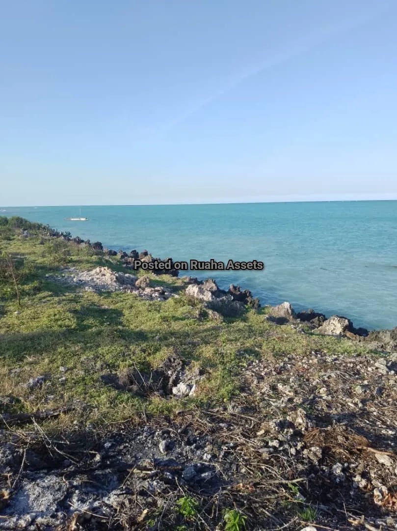 Beach Front plot for sale in Zanzibar image 1