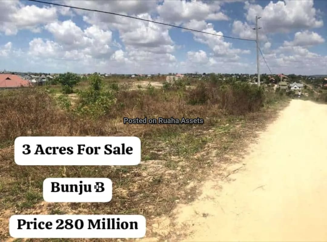 3 Acres for Sale at Mbweni B image 2