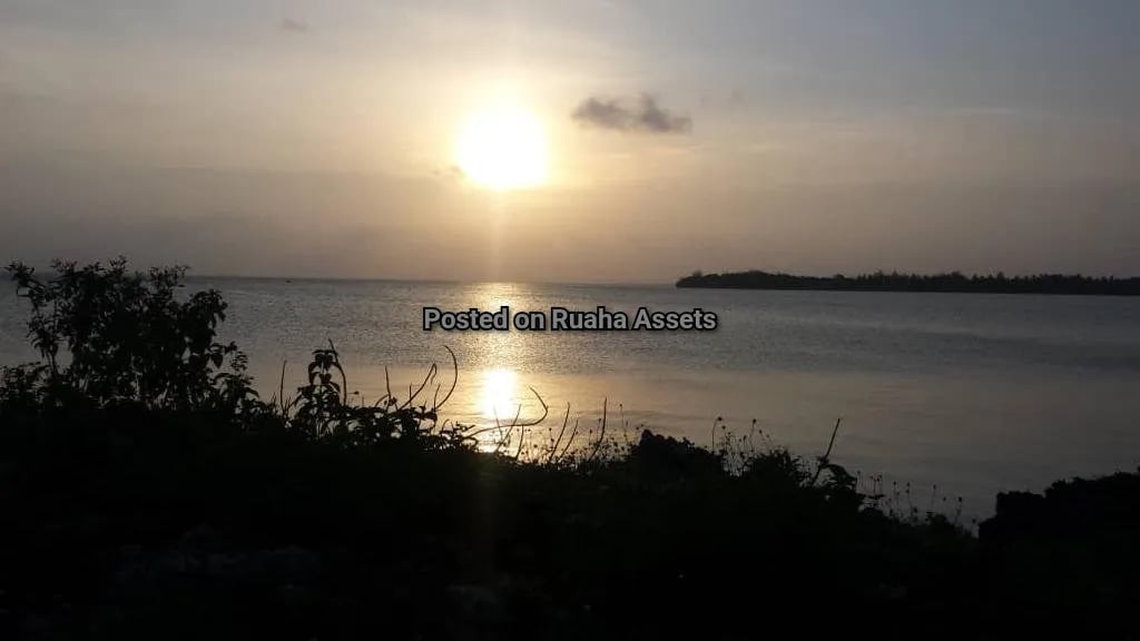 Beachfront plot for Sell in Zanzibar image 4