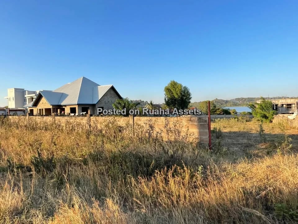 LAKESIDE PROPERTY FOR SALE – LUCHELELE MWANZA TSHS. 150,000,000 image 5
