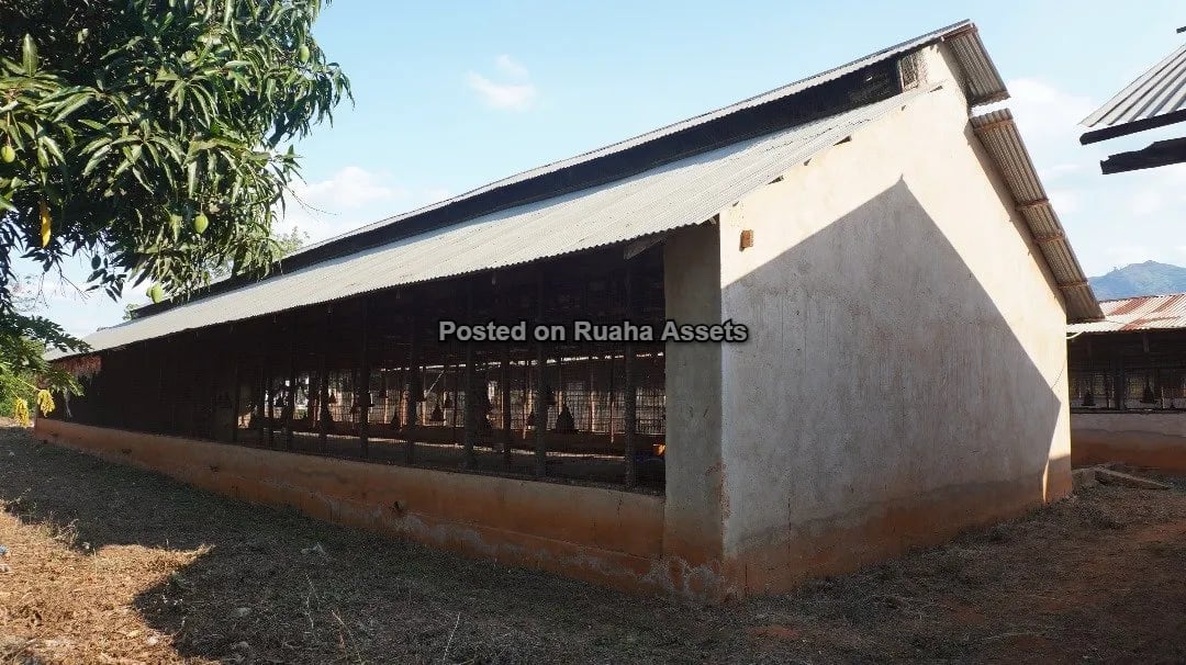 Shamba Kubwa Lenye Majengo ya Ufugaji Linauzwa image 11