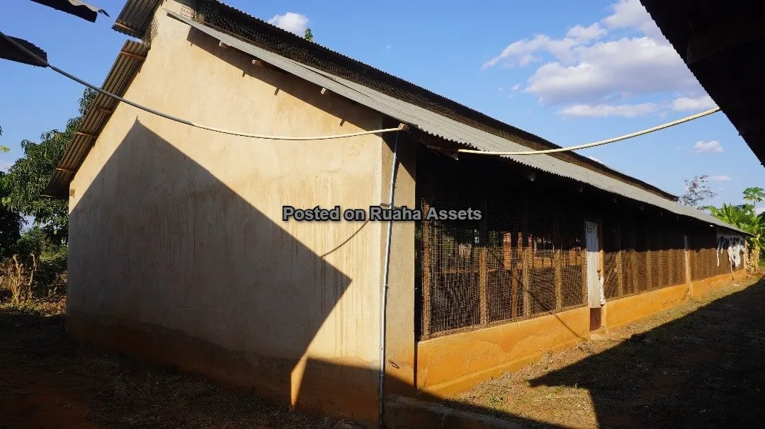 Shamba Kubwa Lenye Majengo ya Ufugaji Linauzwa image 12